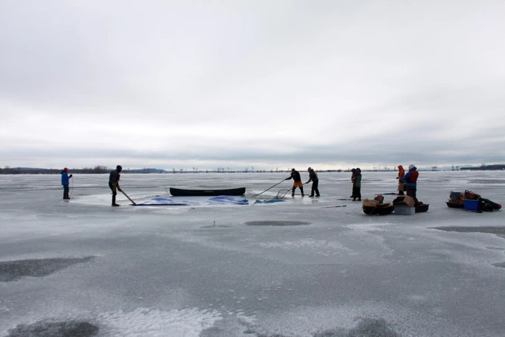 Loon rescue