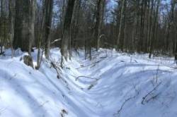 East Concord Canal Photo: Stephen Fox