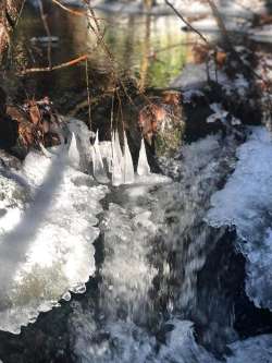 Icicles Photo: Rodney Johnson