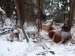 Snow chainsaw Photo: Gordon Gould