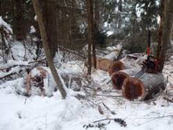 Snow chainsaw Photo: Gordon Gould