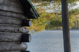 Log Building thumbnail