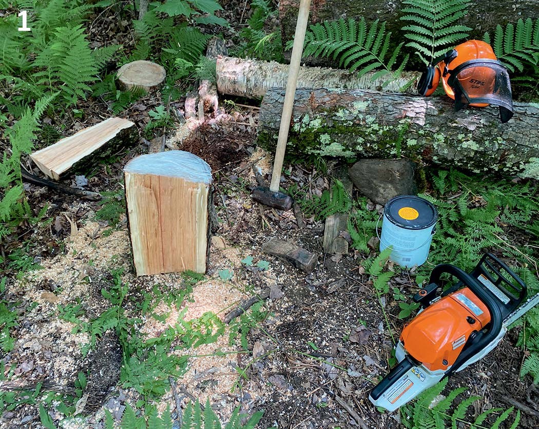 Wood bowl harvest