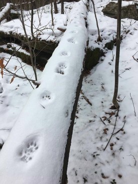 1_img_7658.jpg thumbnail