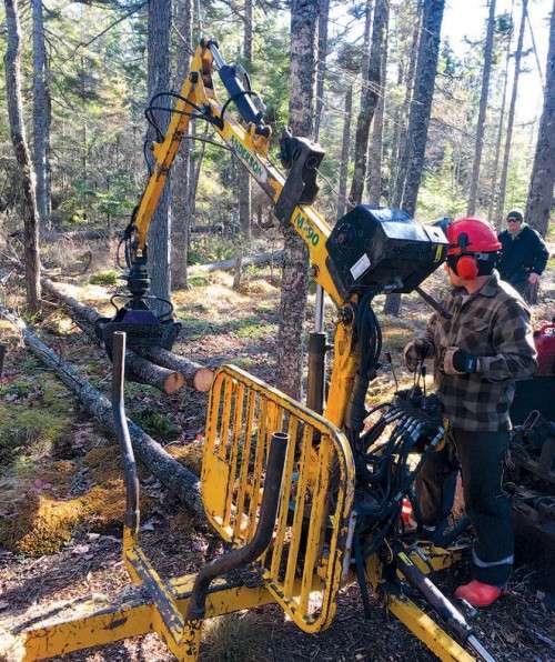 Logging woods