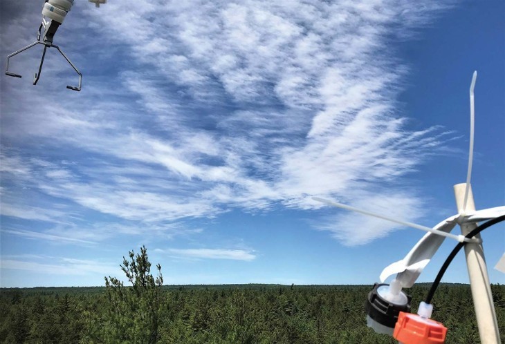 Mercury Cycling in Northeastern Forests