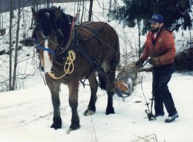 Horse logging thumbnail