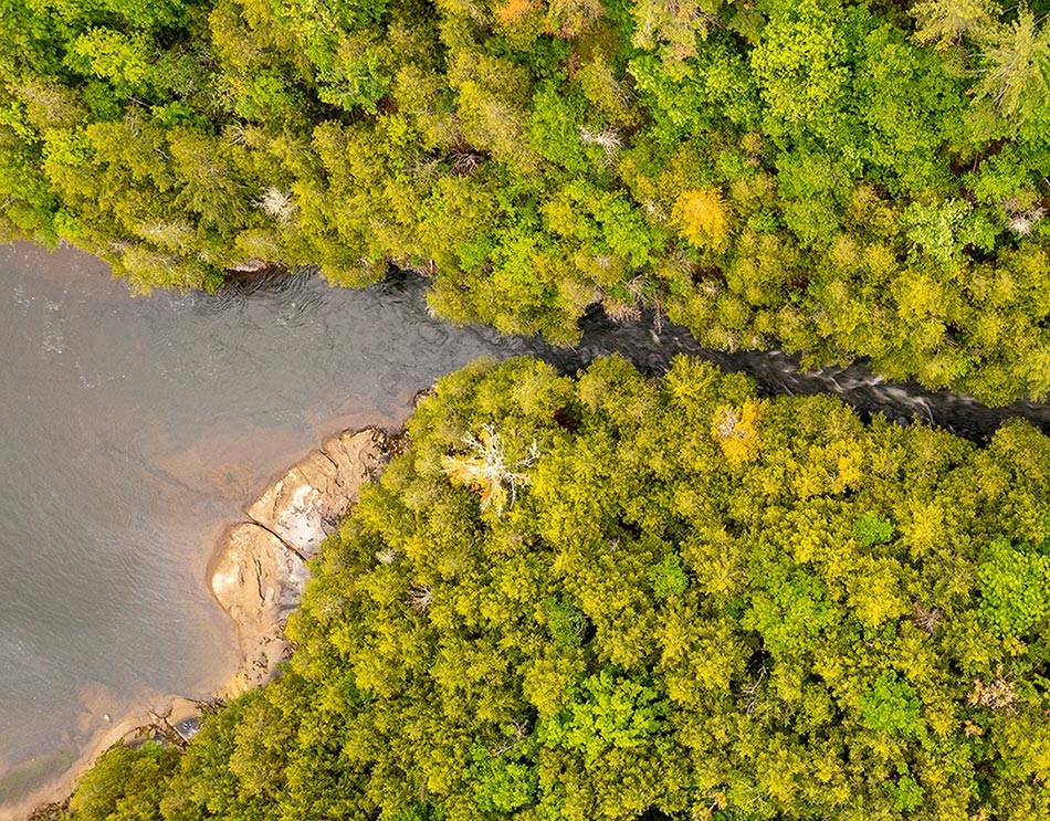 Green Woods, Clear Waters