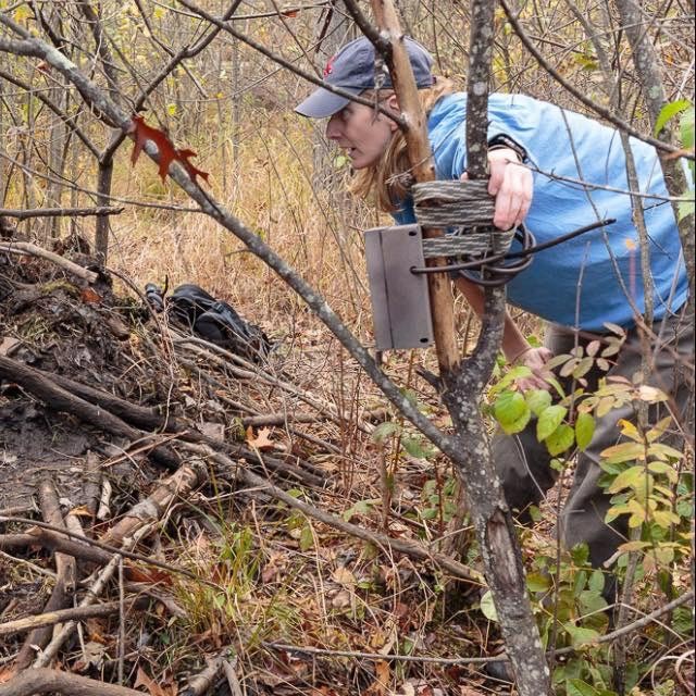 Sally Naser Captures Wildlife on Hidden Cameras thumbnail