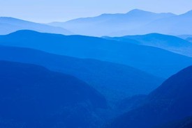 Northern Forest thumbnail