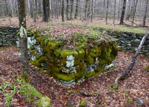 Stone Records in a Rewilding Landscape thumbnail