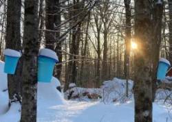 Sugar season Photo: Karinne Heise