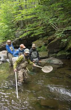 Trout camp Photo: Thomas Ames