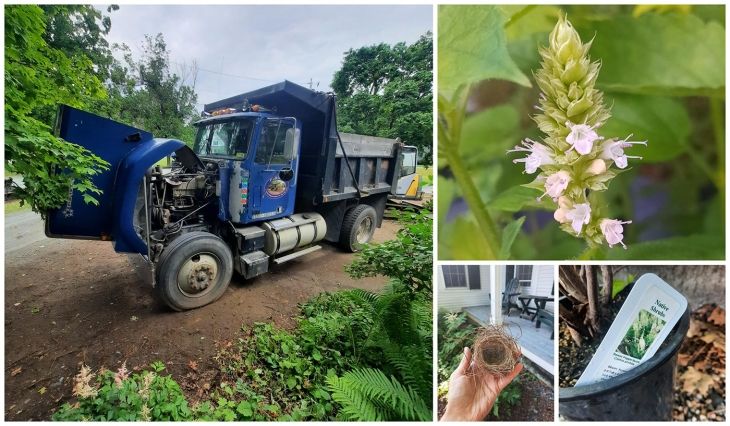 Truck and plants