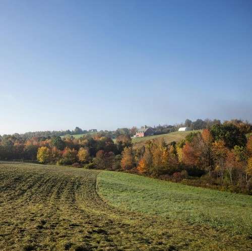 A New Resource to Support Rural Black Landowners