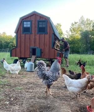 Steve Hagenbuch Manages the Forests for the Birds thumbnail