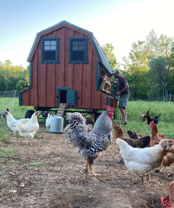 Steve Hagenbuch Manages the Forests for the Birds