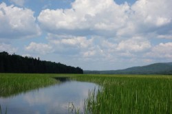 Cedar River Photo: John Blaser