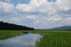 Cedar River Photo: John Blaser