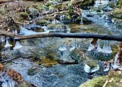 Silver ice Photo: Karinne Heise