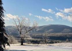 Taconic Ice Photo: Karinne Heise