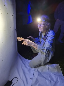 JoAnne Russo Photo: Emily S. Rowe