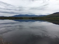 Cherry Pond Photo: Patricia Gould