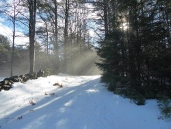 January Winter Thaw Photo: Gordon Gould