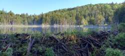 Lockwood Pond Photo: Ira A. Powsner