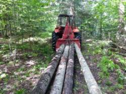 Low impact logging Photo: Gordon Gould