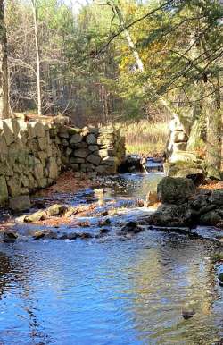 Old Mill Dam Photo: Nancy Halloran