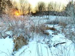 Sunny snow Photo: Andrew Vecchio