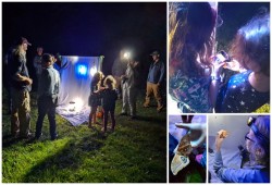 Moth ball discoveries Photo: Emily S. Rowe