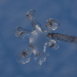 Ice Jewels Photo: AM Dannis