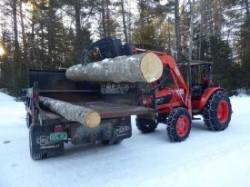 Winter logging Photo: Gordon Gould