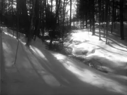 22_old_mill_brook.jpg