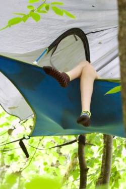 Reading tree Photo: Anonymous