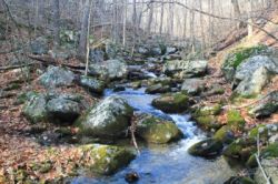 Stoney Brook Photo: John Blaser