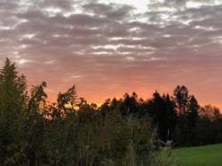 Goldenrod Sunrise Photo: Tracy Rice