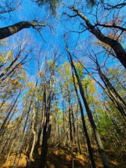 November sky Photo: Stephen Fox