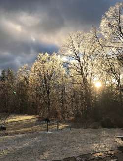 Ice storm Photo: Mollie Babize