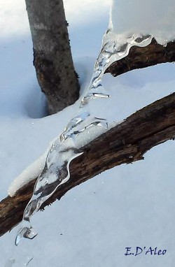23_waterflow-or-ice-1.jpg
