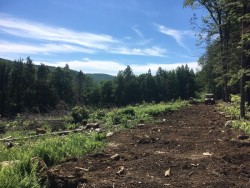 ATV landowners Photo: Alex Barrett