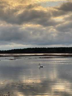 Burrage Pond Photo: Jenn Merlan