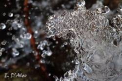 Ice Art Photo: Eric D'Aleo