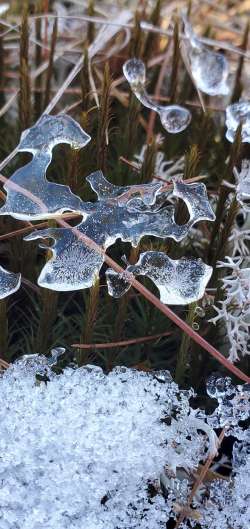 Ice puzzle Photo: Susan Lichty