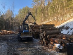 Log Landing Photo: Andrew Sheere