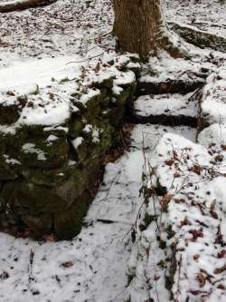 Stone cellar Photo: Ronald Becker