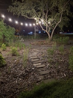 Moth ball Photo: Emily S. Rowe