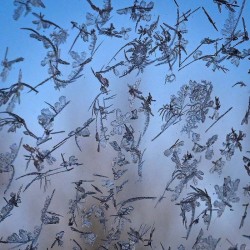 Morning frost Photo: Sandy Dannis